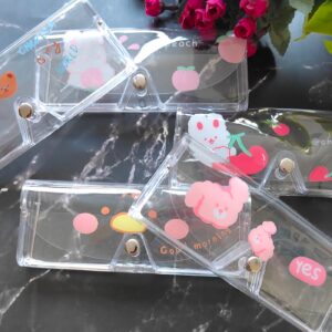 Transparent Sunglass & Spectacle Case : Clear, Compact & Protective!